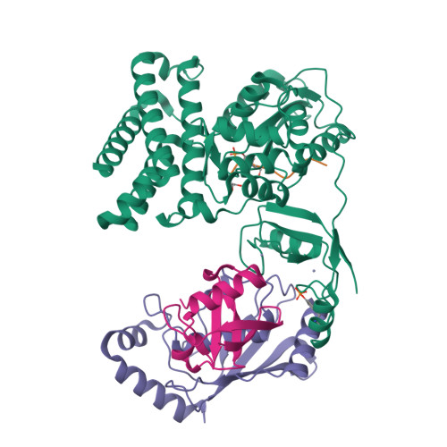 Rcsb Pdb 3zni Structure Of Phosphotyr363 Cbl B Ubch5b Ub Zap 70 Peptide Complex