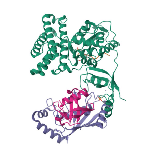 Rcsb Pdb 3zni Structure Of Phosphotyr363 Cbl B Ubch5b Ub Zap 70 Peptide Complex