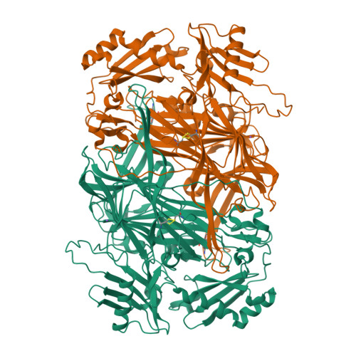 Rcsb Pdb 5zp4 Copper Amine Oxidase From Arthrobacter Globiformis Anaerobically Reduced By Ethylamine At Ph 10 At 288 K 2