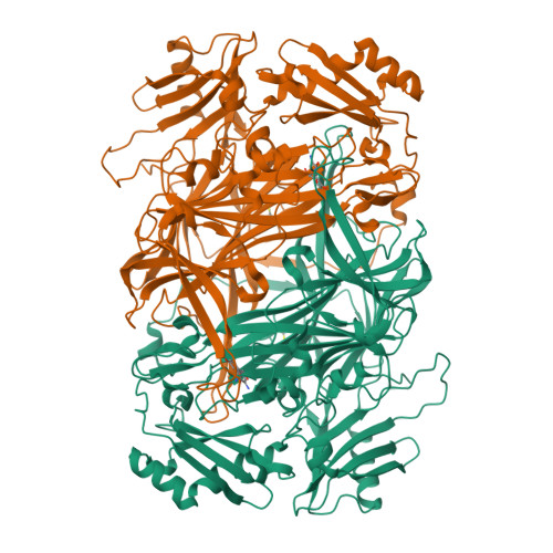 Rcsb Pdb 5zph Copper Amine Oxidase From Arthrobacter Globiformis Anaerobically Reduced By Ethylamine At Ph6 At 293k 2