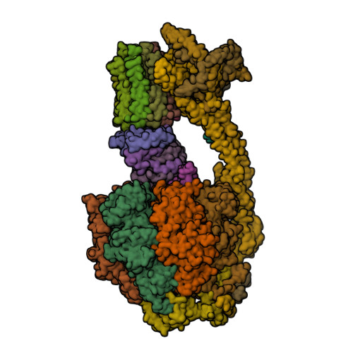 ATP5ME image