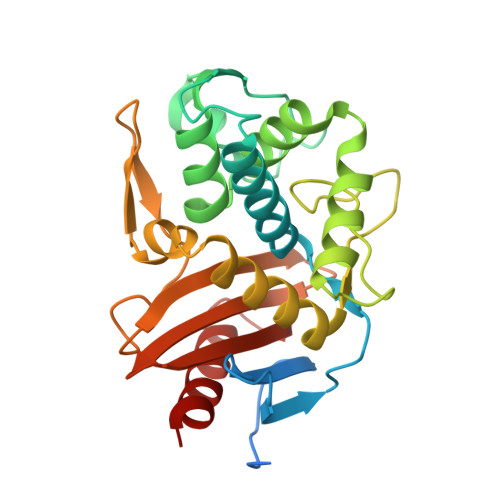 RCSB PDB 5ZQB Crystal Structure of PenicillinBinding Protein D2