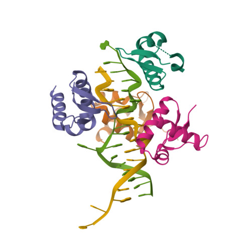 Rcsb Pdb 5zuo Crystal Structure Of Bz Junction In Diverse Sequence