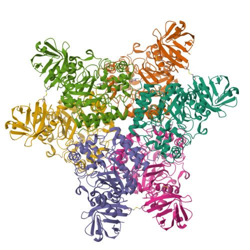 Rcsb Pdb 2zwz Alpha L Fucosidase Complexed With Inhibitor Core1