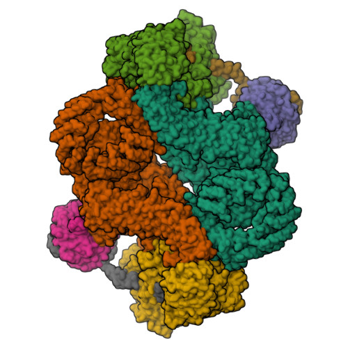 Rcsb Pdb 6zwm Cryo Em Structure Of Human Mtor Complex 2 Overall Refinement