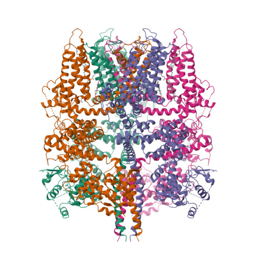 Rcsb Pdb 5zx5 3 3 Angstrom Structure Of Mouse Trpm7 With Edta