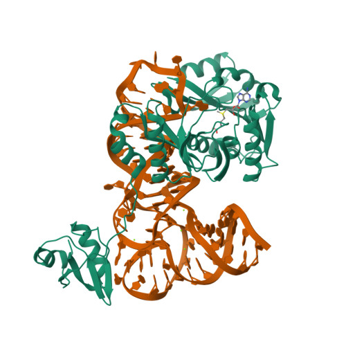 2ZZN assembly