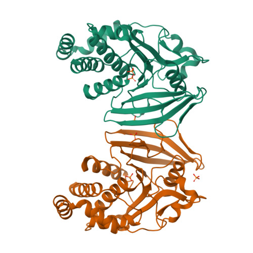 Rcsb Pdb 6zz4 Crystal Structure Of The Ptpn2 C216g Mutant