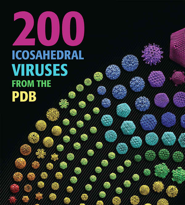 RCSB PDB News Image