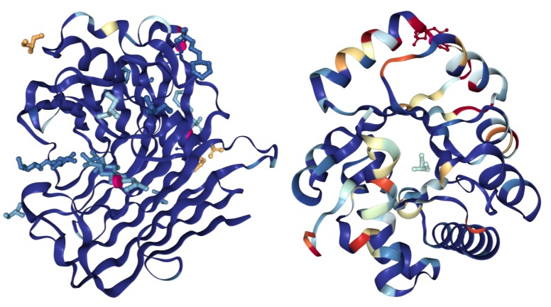 RCSB PDB News Image