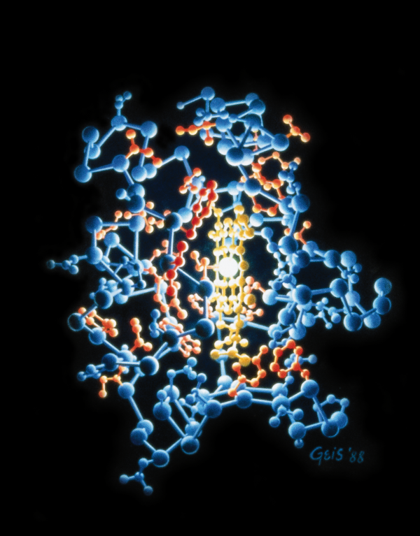 RCSB PDB News Image