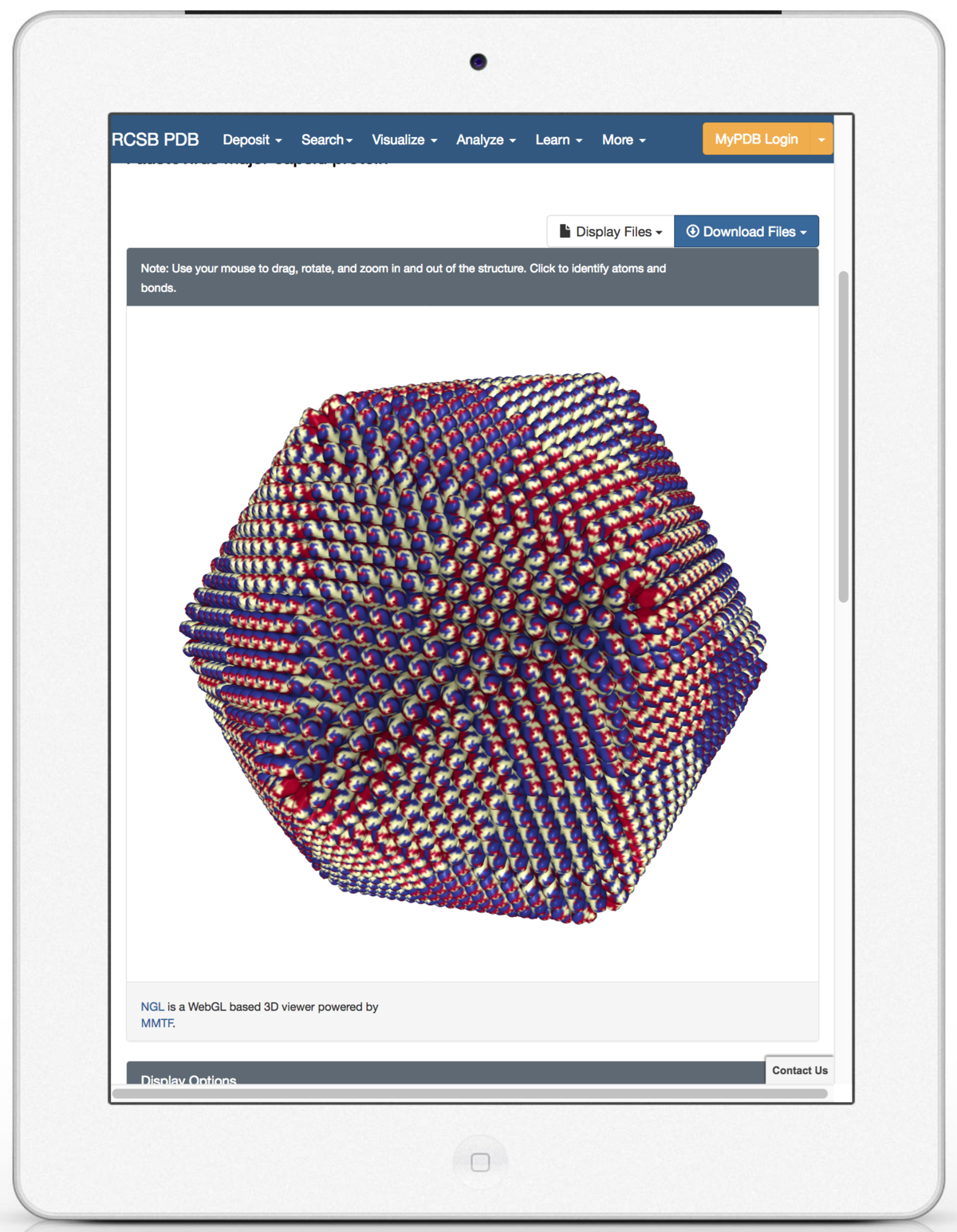 RCSB PDB News Image