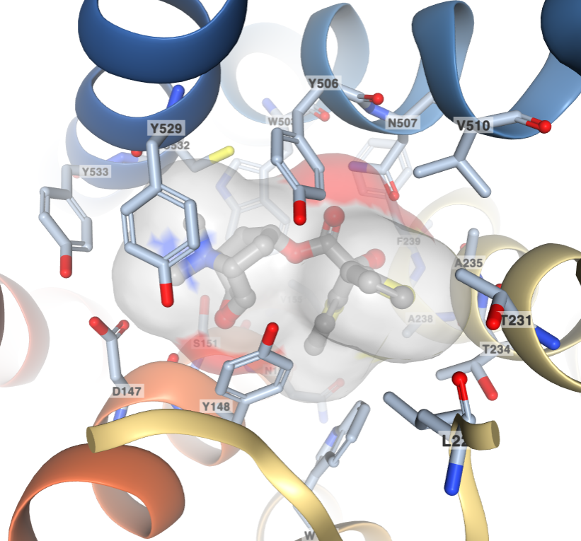 RCSB PDB News Image