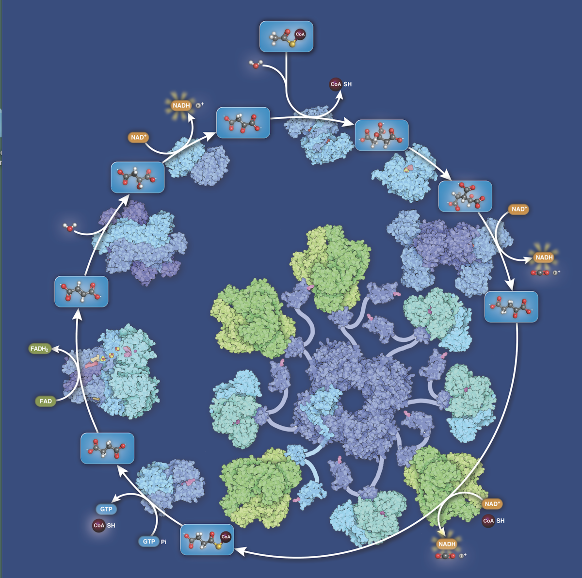 RCSB PDB News Image