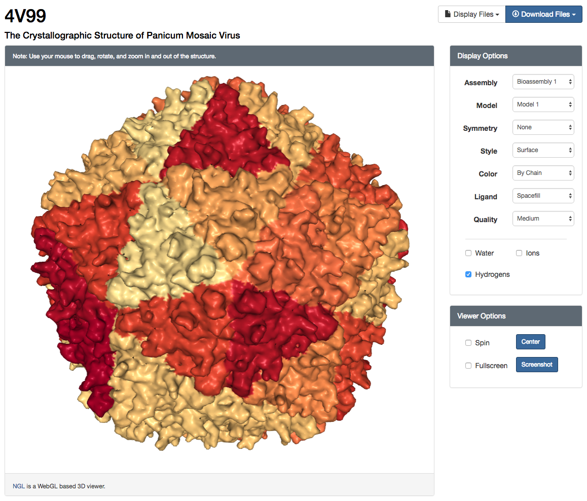 RCSB PDB News Image