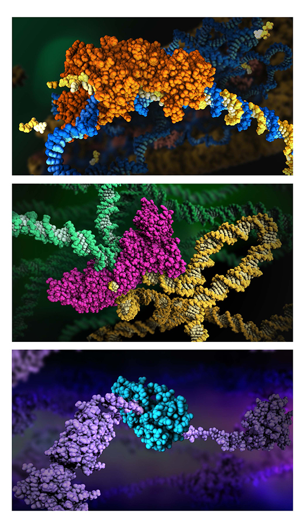 RCSB PDB News Image