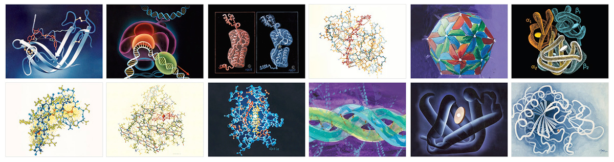 RCSB PDB News Image