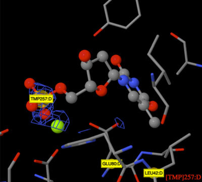 RCSB PDB News Image