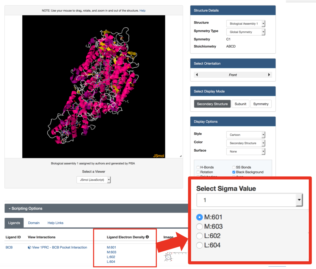 RCSB PDB News Image