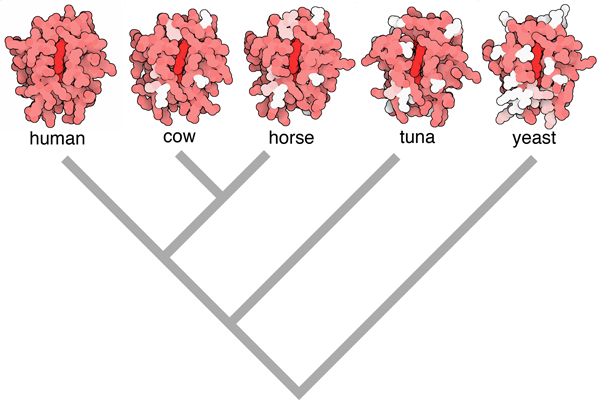 RCSB PDB News Image