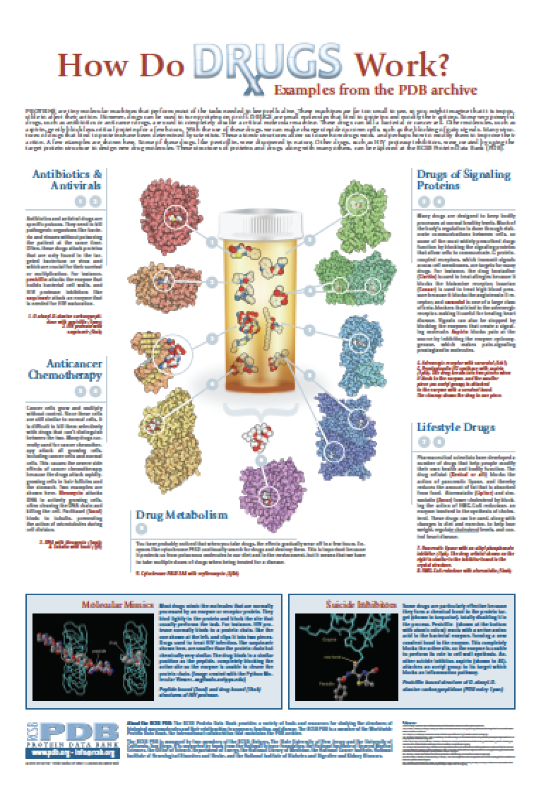 RCSB PDB News Image