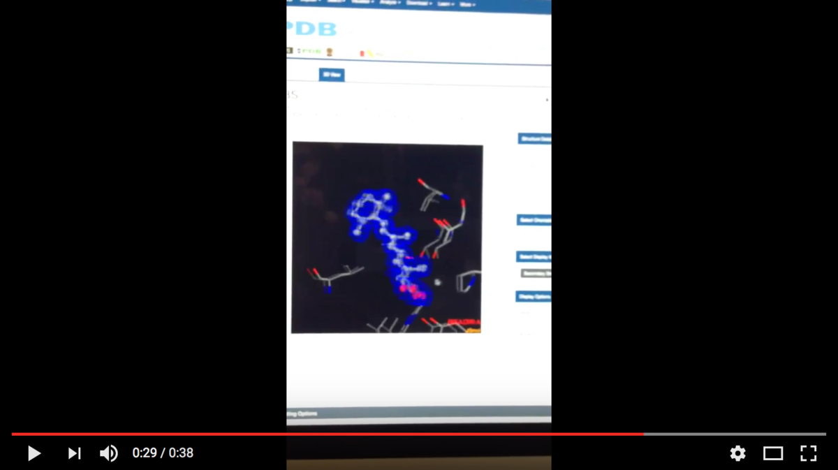 RCSB PDB News Image