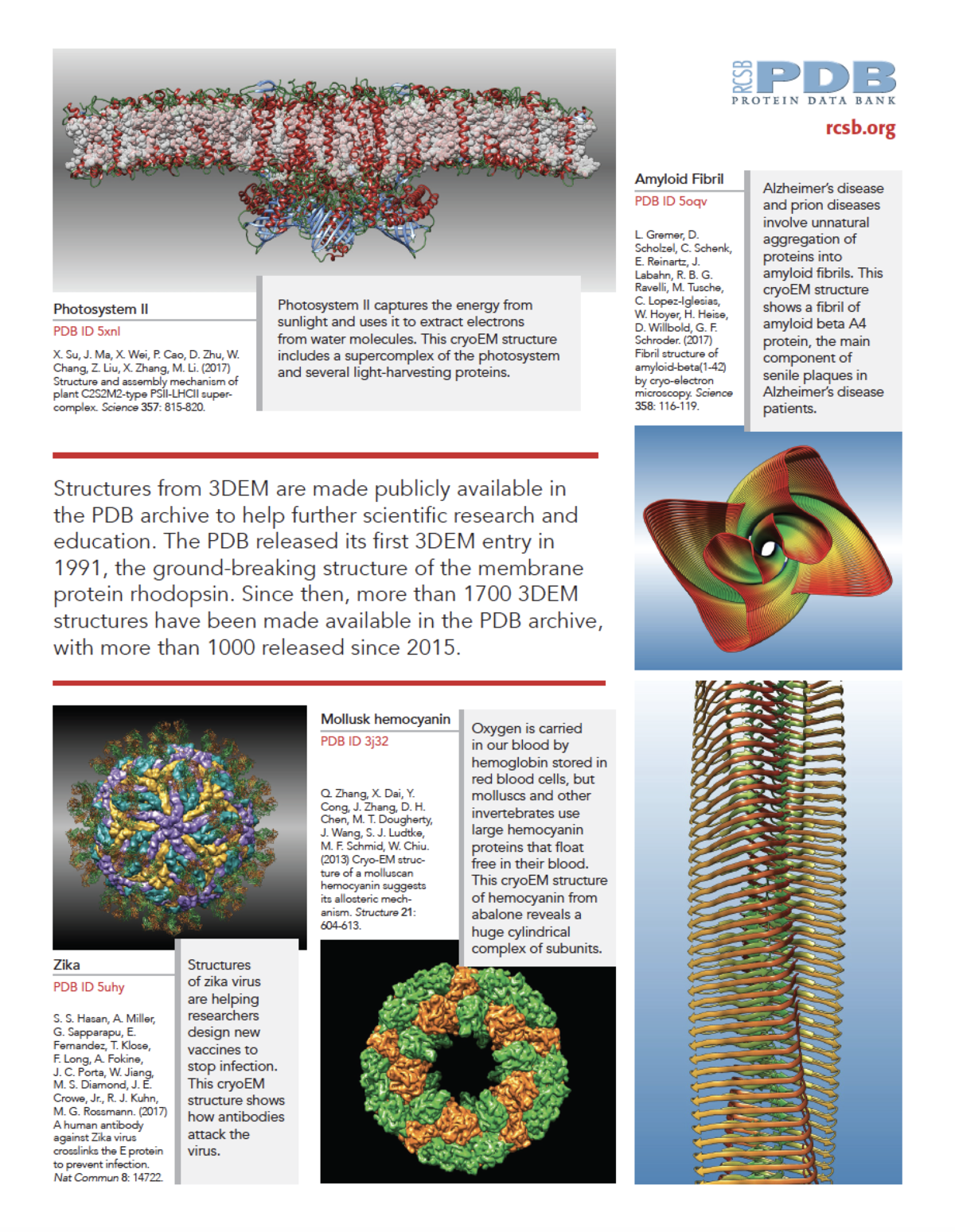 RCSB PDB News Image