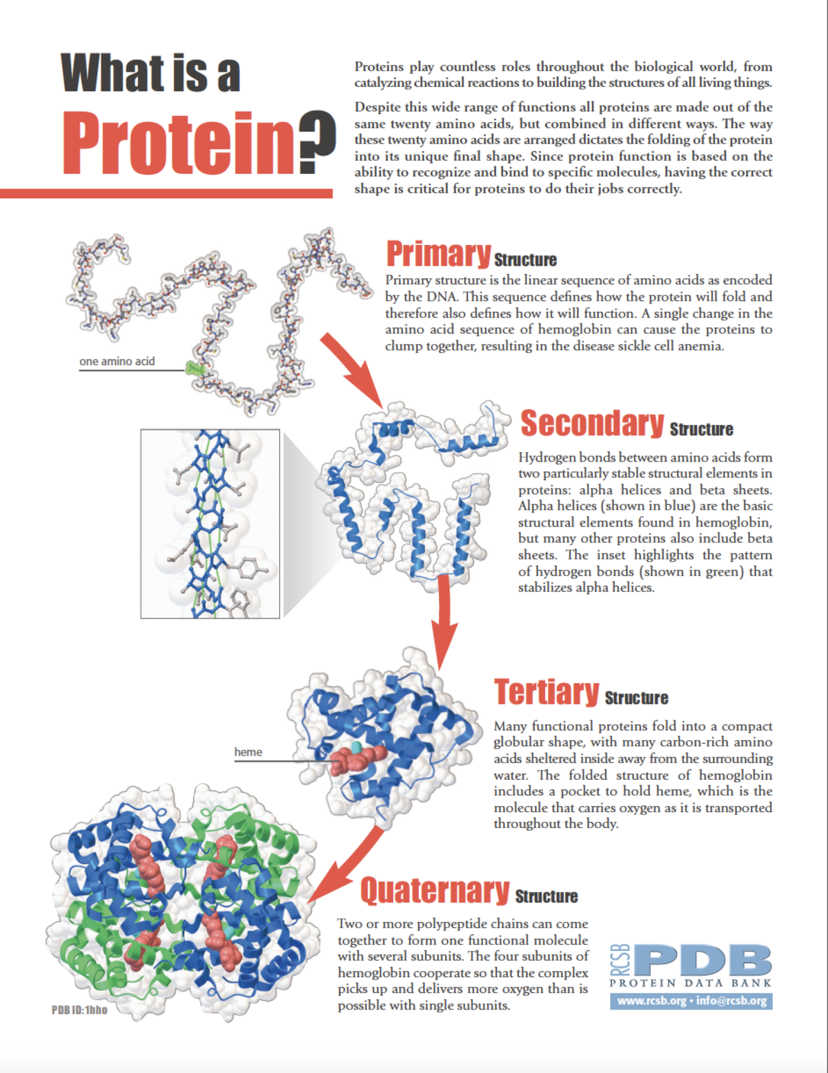 RCSB PDB News Image