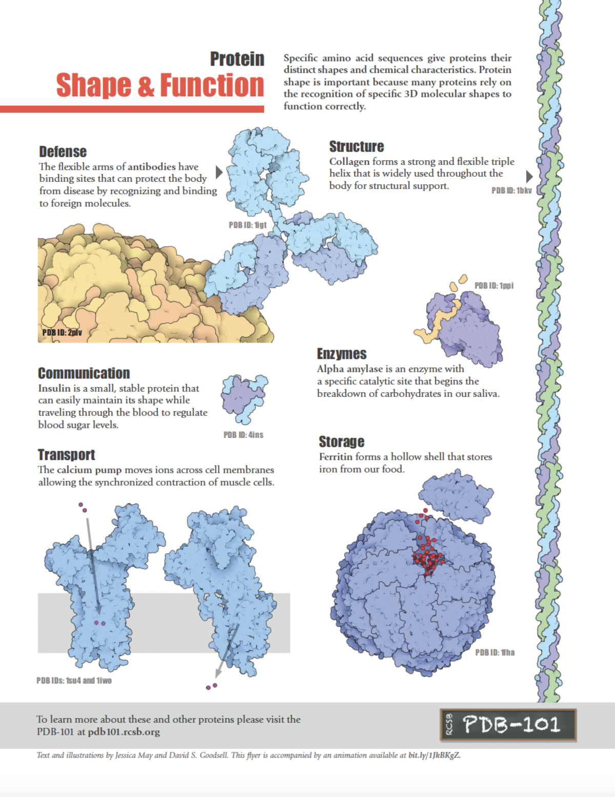 RCSB PDB News Image