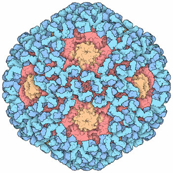 RCSB PDB News Image