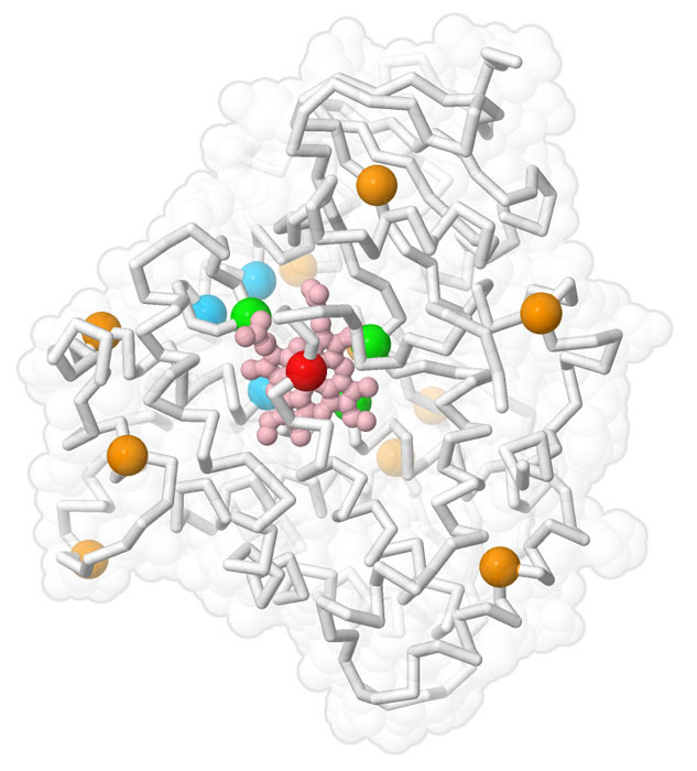 RCSB PDB News Image