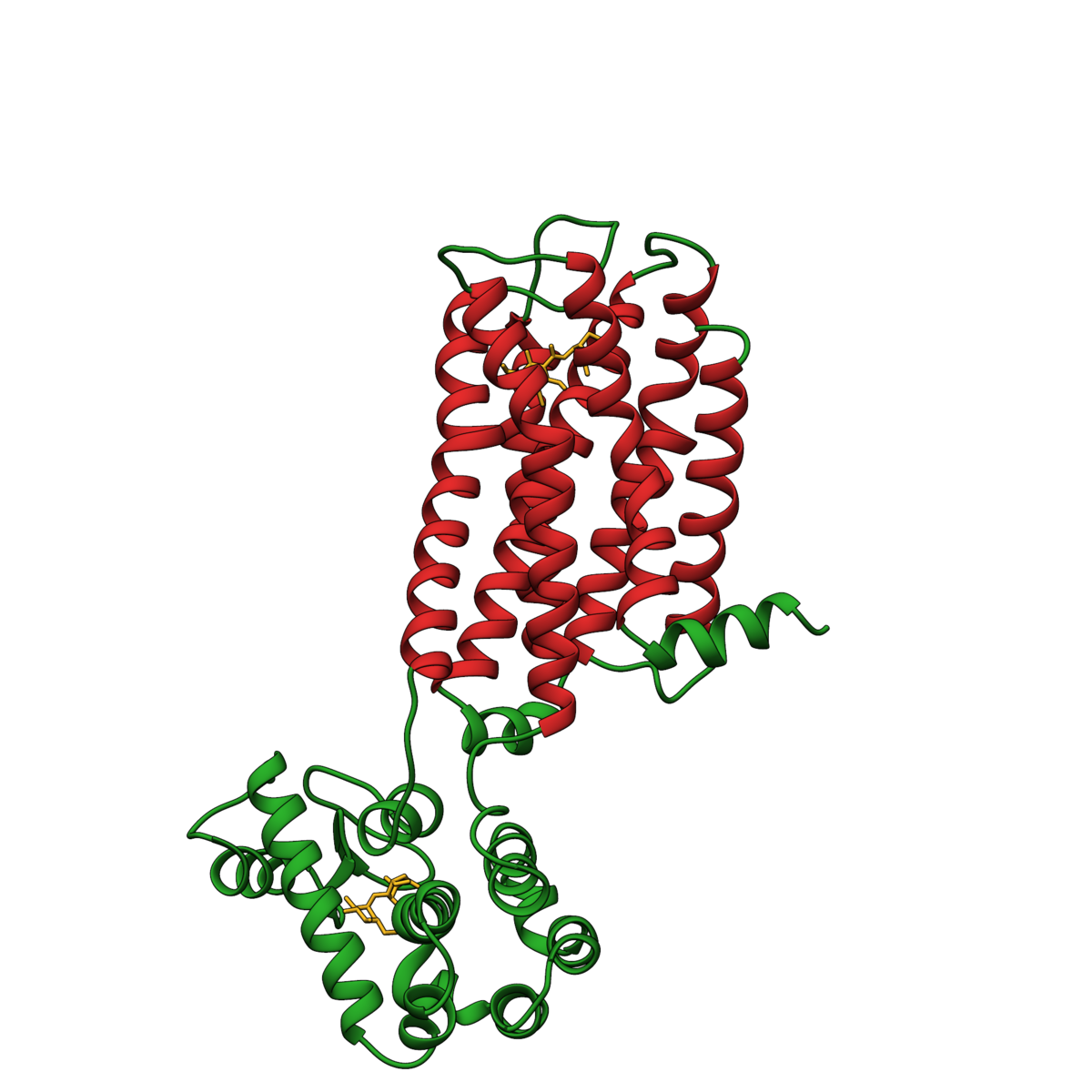 RCSB PDB News Image