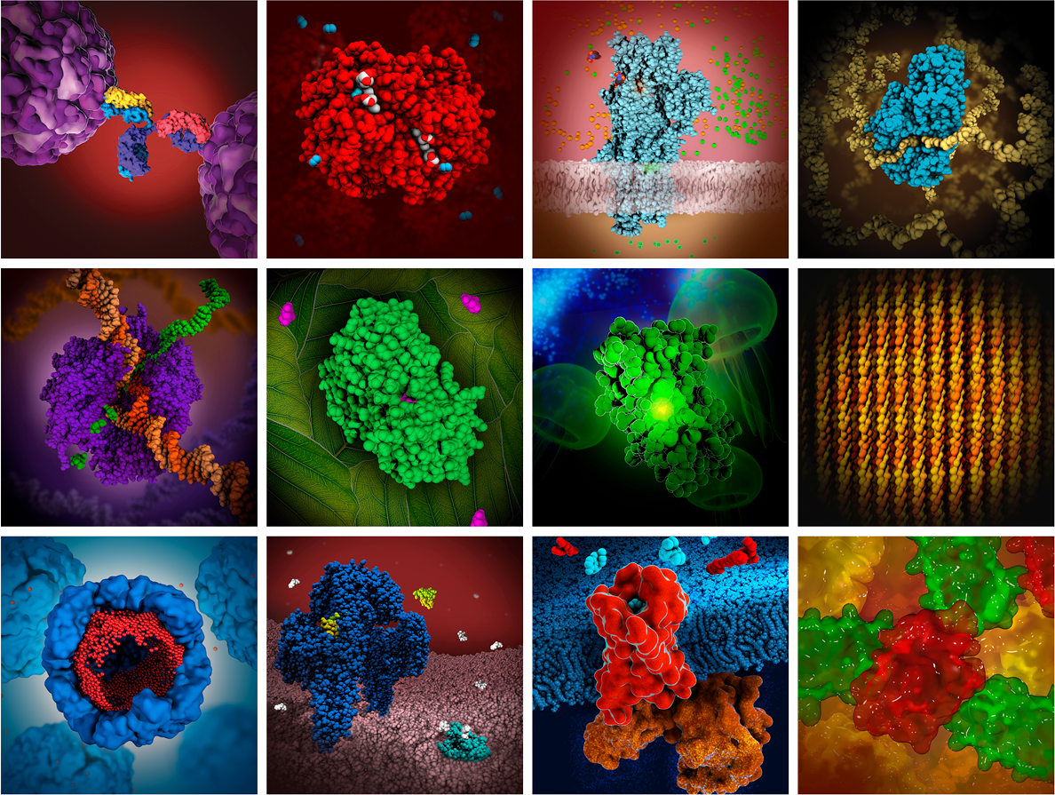 RCSB PDB News Image