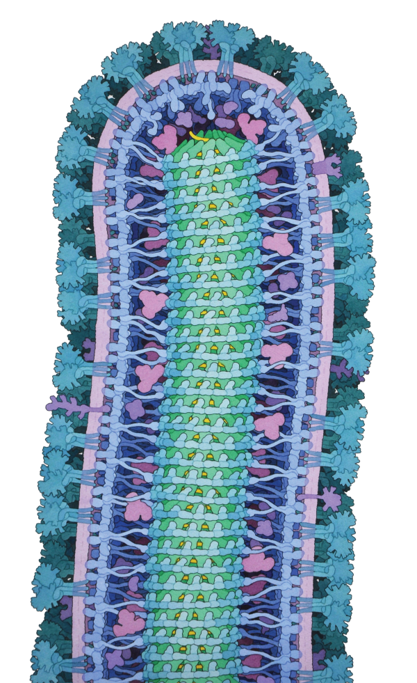 RCSB PDB News Image