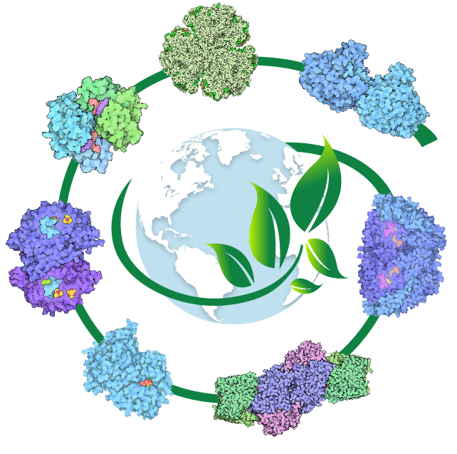 RCSB PDB News Image