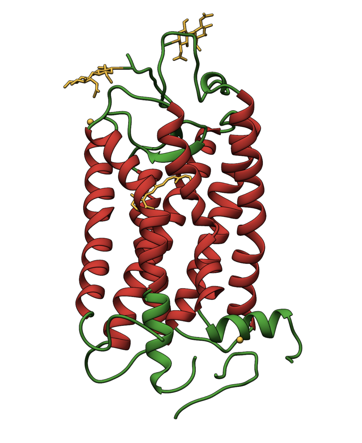 RCSB PDB News Image