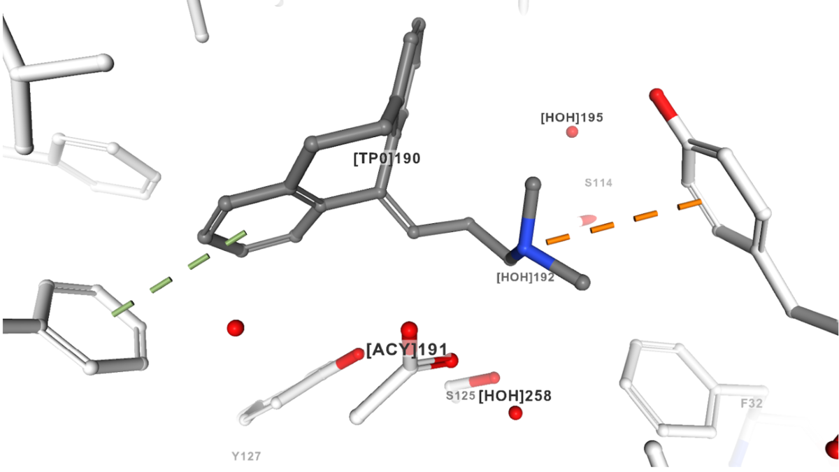 RCSB PDB News Image