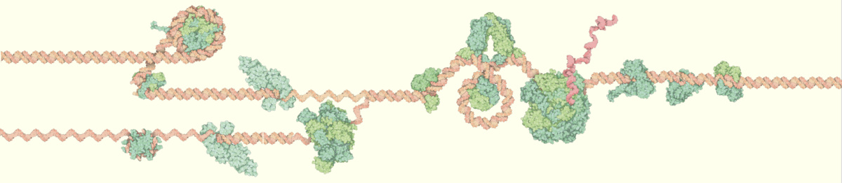 RCSB PDB News Image