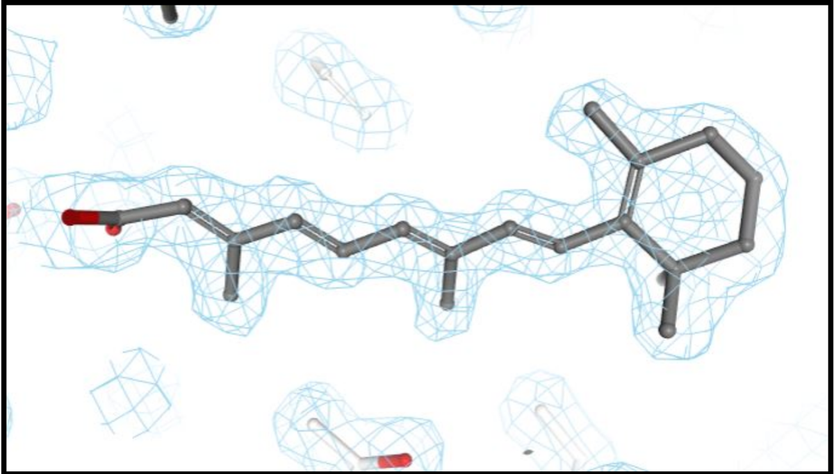 RCSB PDB News Image