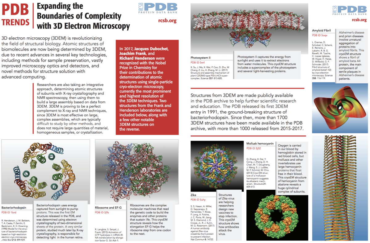 PDB-101: Molecule of the Month: Amyloids