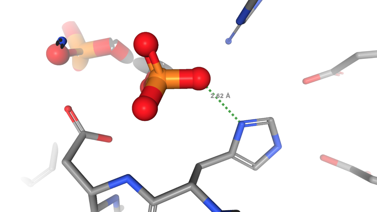 RCSB PDB News Image