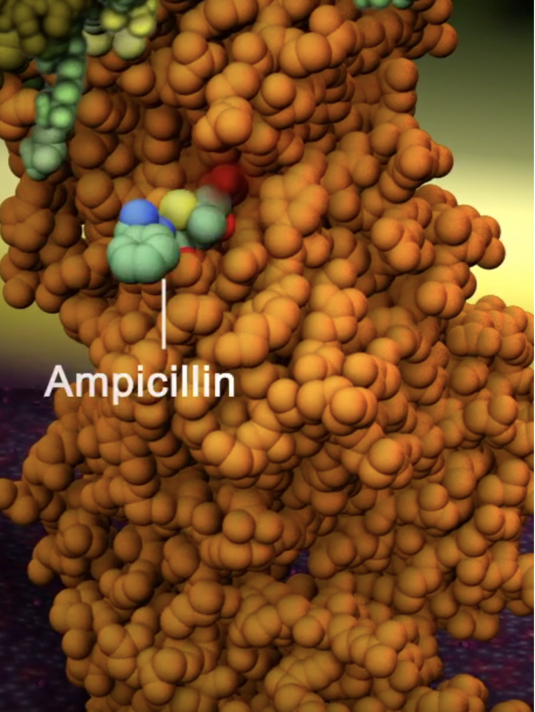 RCSB PDB News Image