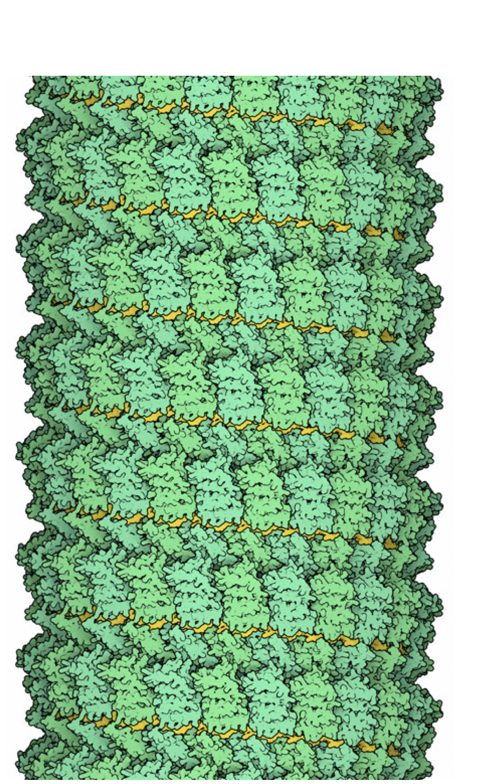 RCSB PDB News Image