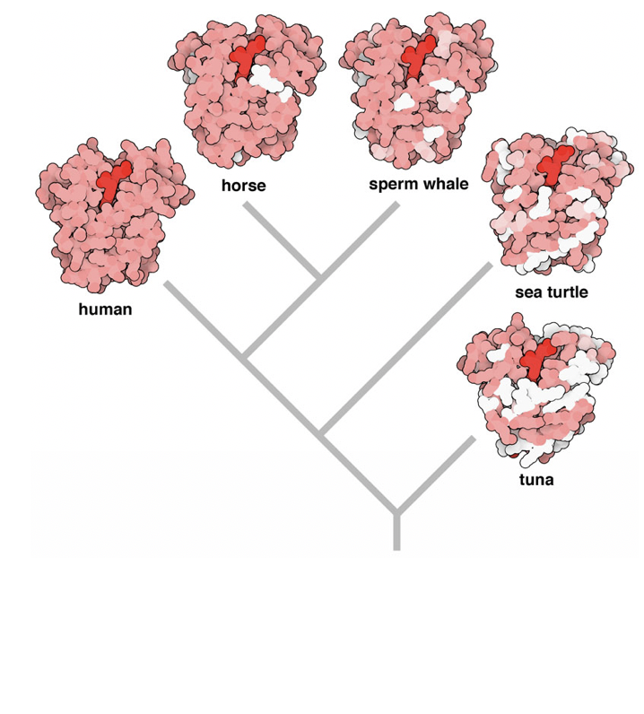 RCSB PDB News Image