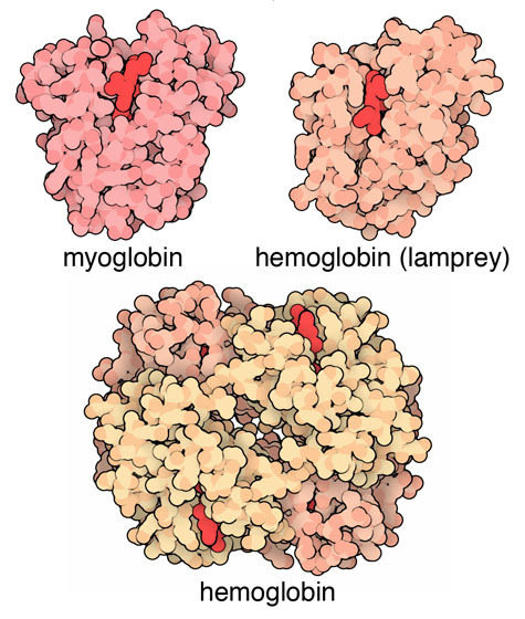 RCSB PDB News Image