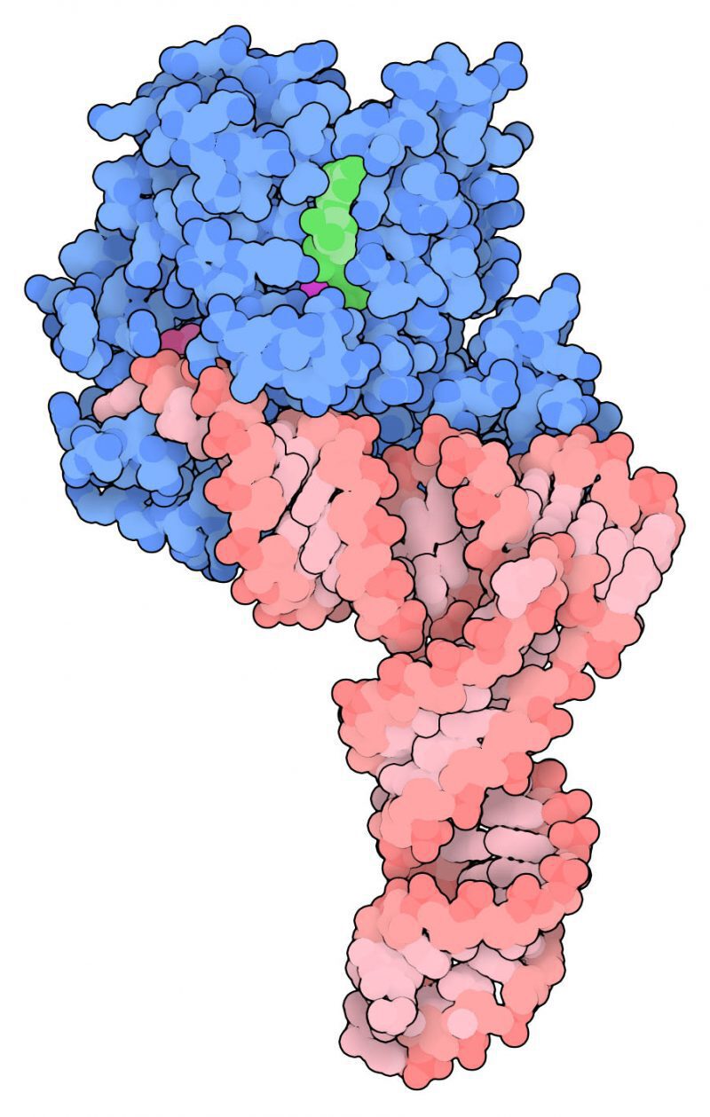 RCSB PDB News Image