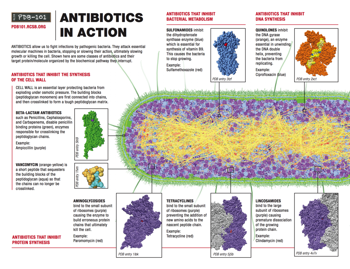 RCSB PDB News Image