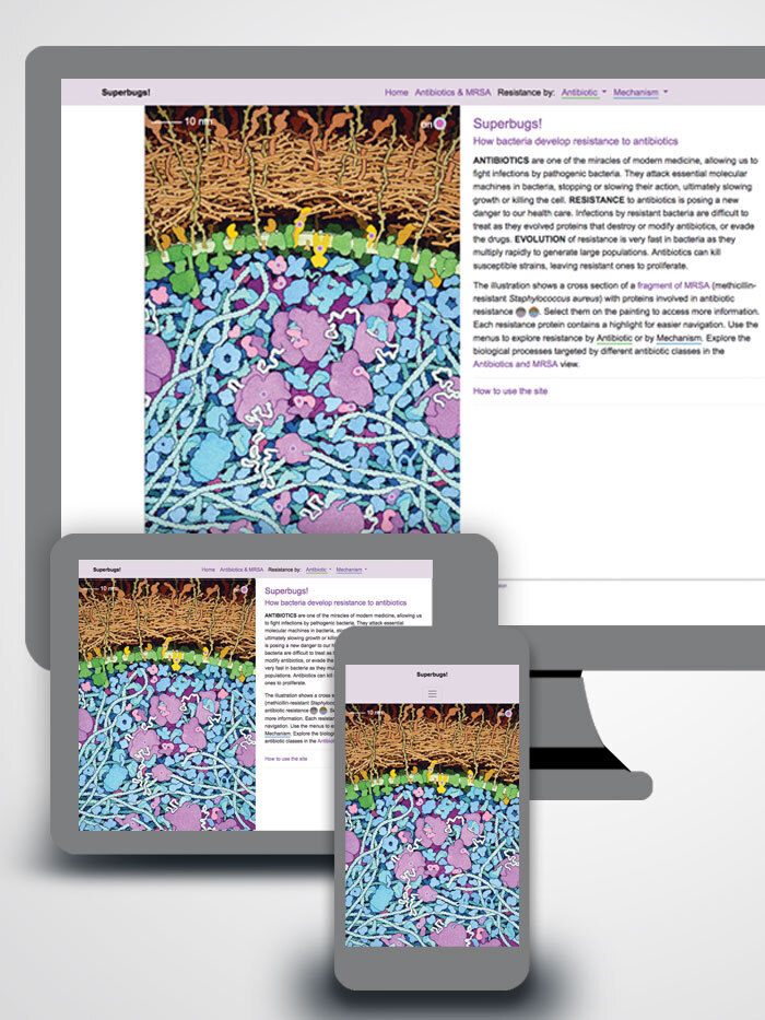 RCSB PDB News Image