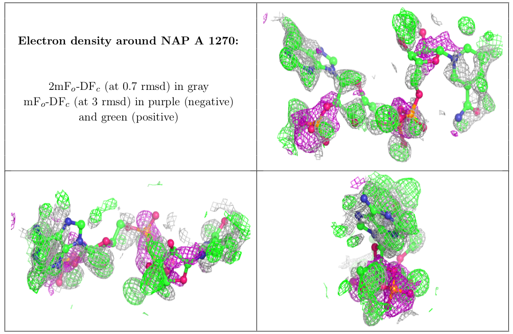 RCSB PDB News Image