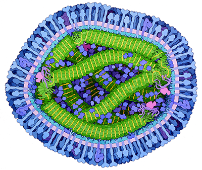 RCSB PDB News Image